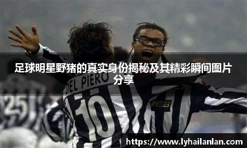 足球明星野猪的真实身份揭秘及其精彩瞬间图片分享